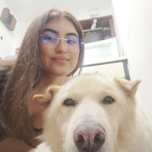 Mee